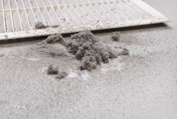 Best Best Air Duct Cleaning Company  in Burgin, KY