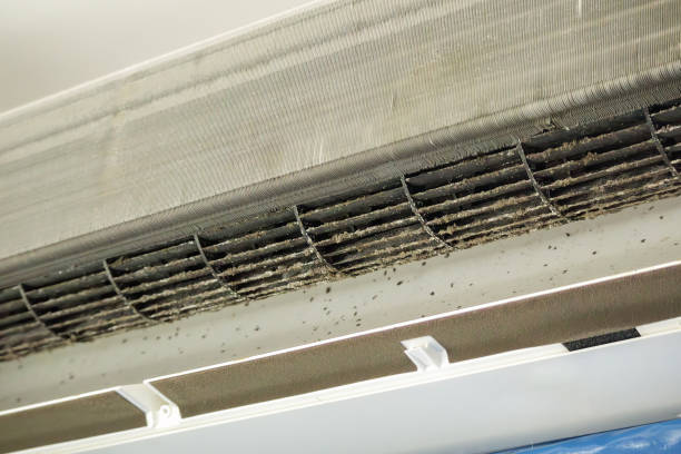 Best Emergency Air Duct Cleaning  in Burgin, KY